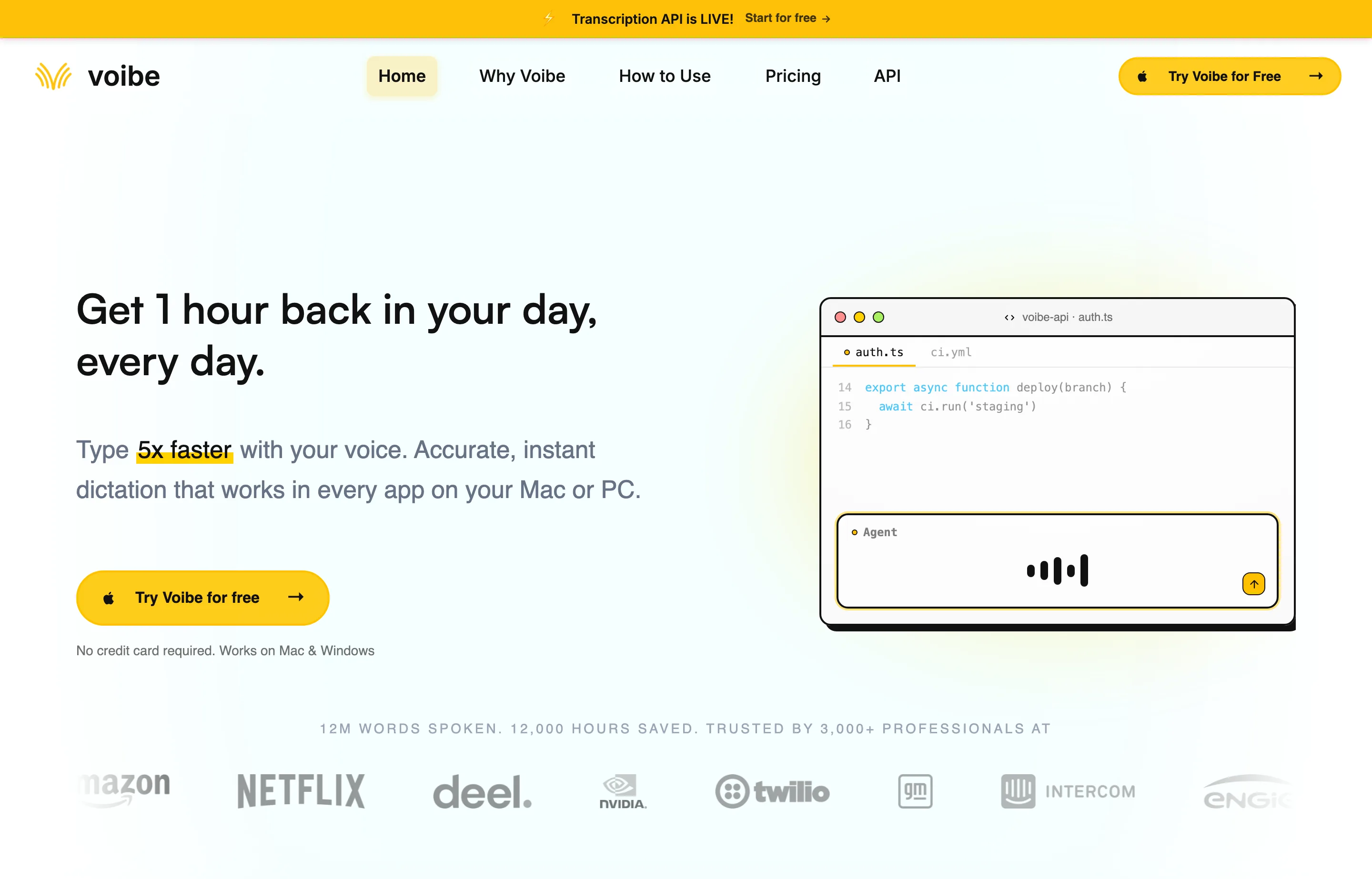 The Voibe homepage showing private dictation for professionals on Mac and Windows.
