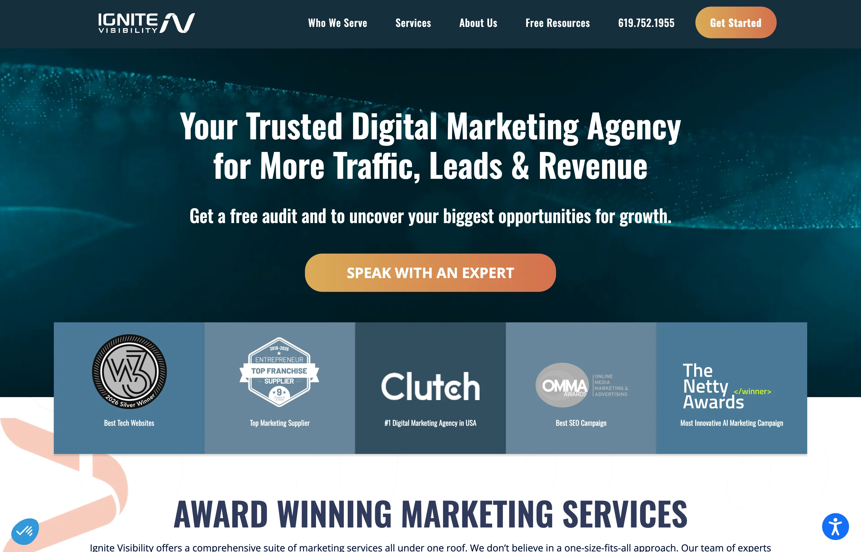The Ignite Visibility website, a full-service digital marketing agency.