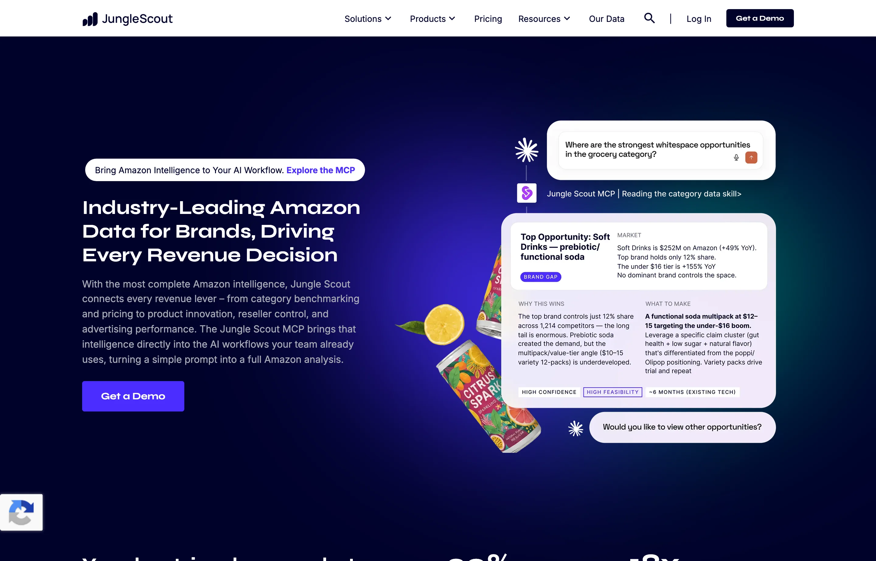 The Jungle Scout website, an Amazon product and keyword research platform.