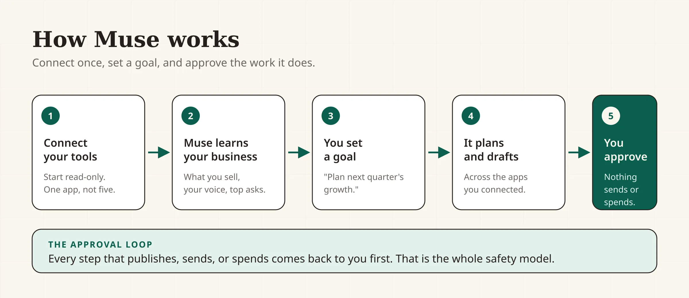 How Meta Muse works: connect your tools read-only, Muse learns your business, you set a goal, it plans and drafts, and you approve every action.